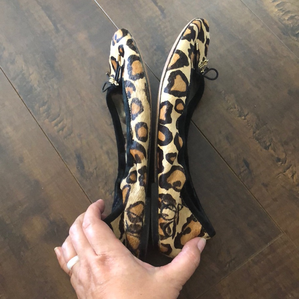 Sam Edelman Cheetah Ballet flats - Picture 7 of 8
